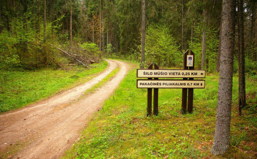 Nuorodos dviračių trasoje 1. Autorius Sartų ir Gražutės RP direkcija.jpg